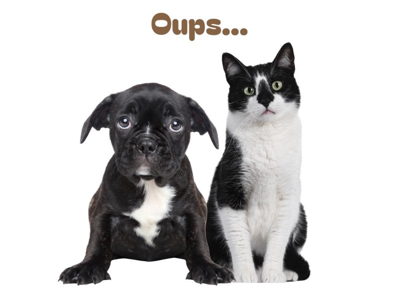 Oups ... votre panier est vide ...