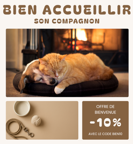 popup bienvenue v2