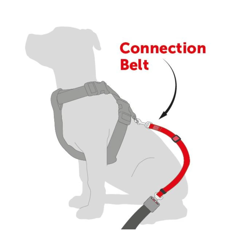ceinture securite schema
