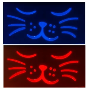 fontaine eau mali voyants