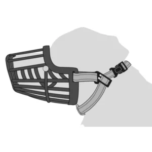 museliere silas noir schema