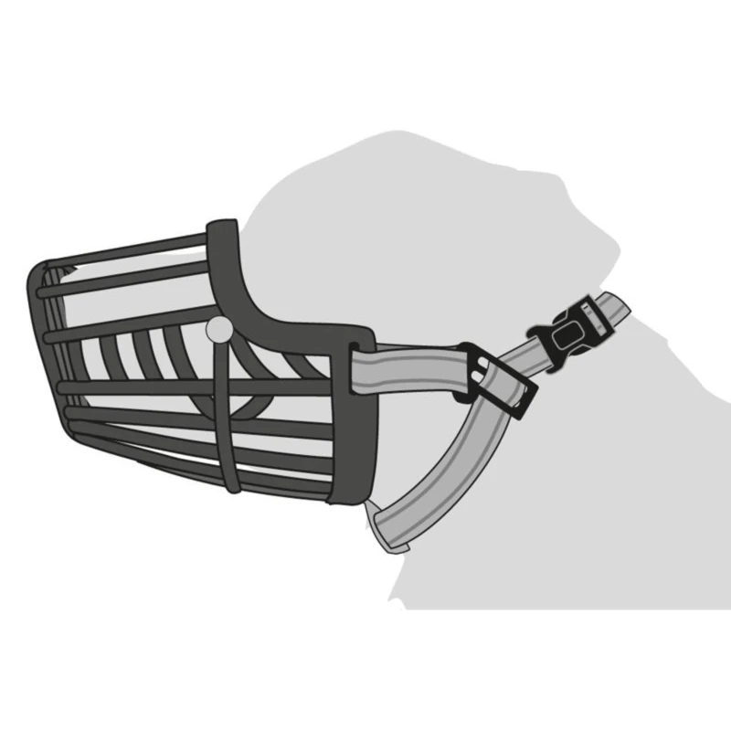 museliere silas noir schema