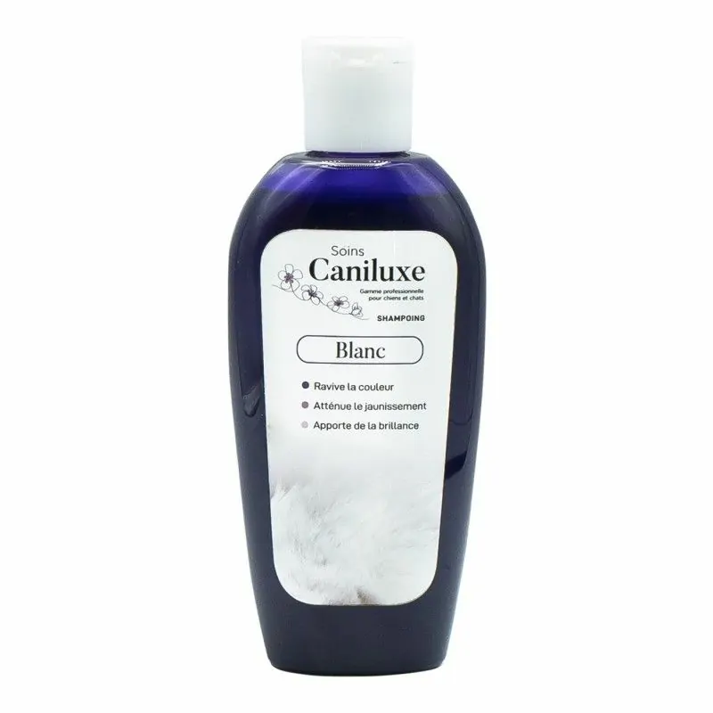 shampoing canulixe chien blanc et argenté