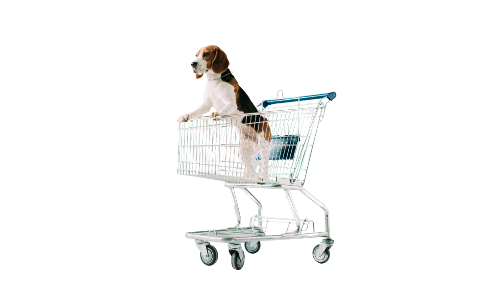 You were not leaving your cart just like that, right?