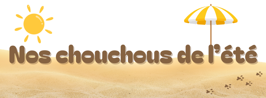 Nos chouchous de l'été