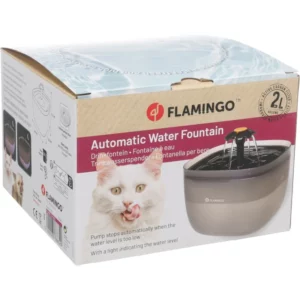 fontaine flowie visuel chat