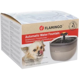 fontaine flowie visuel chien