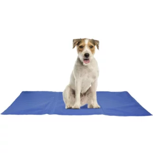 tapis frosty chien