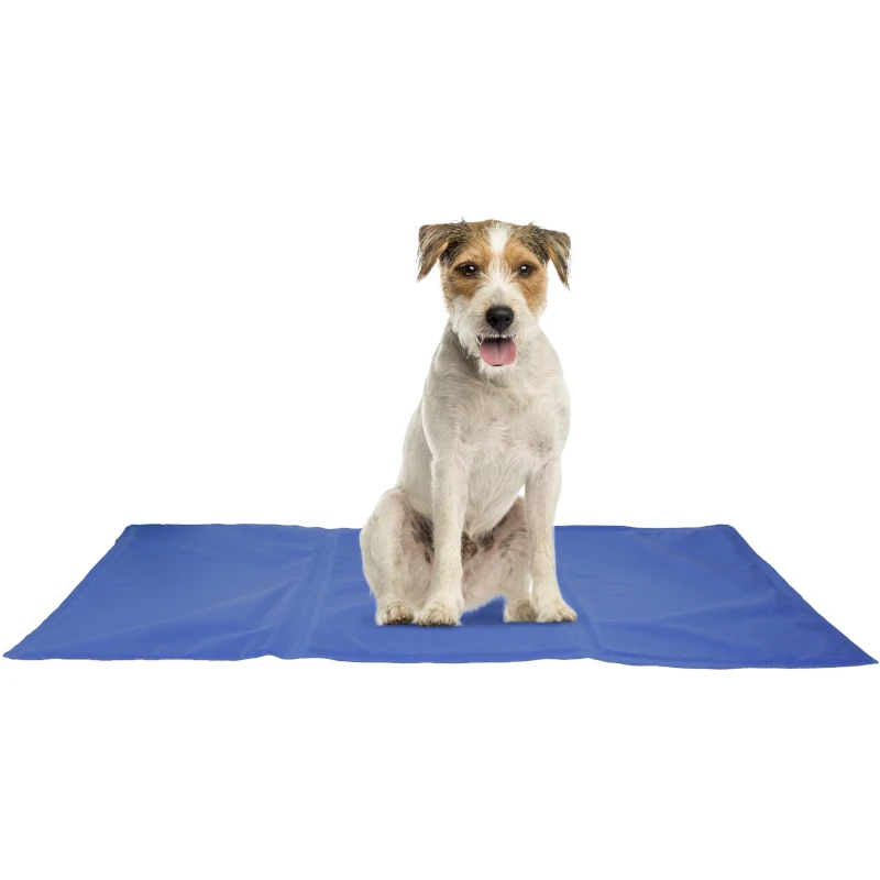 tapis frosty chien