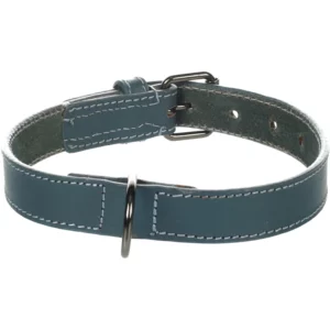 collier denver bleu arriere