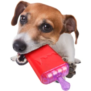 jouet wael utilisation