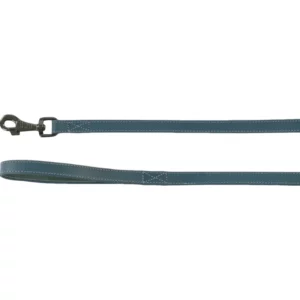 laisse denver bleu