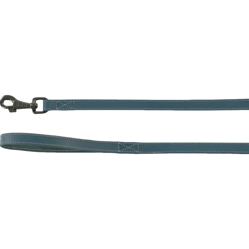 laisse denver bleu