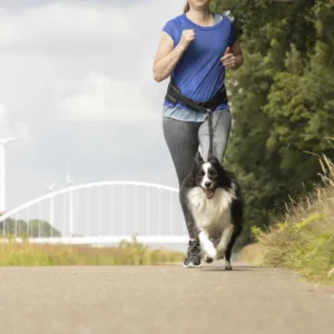 laisse canicross avant