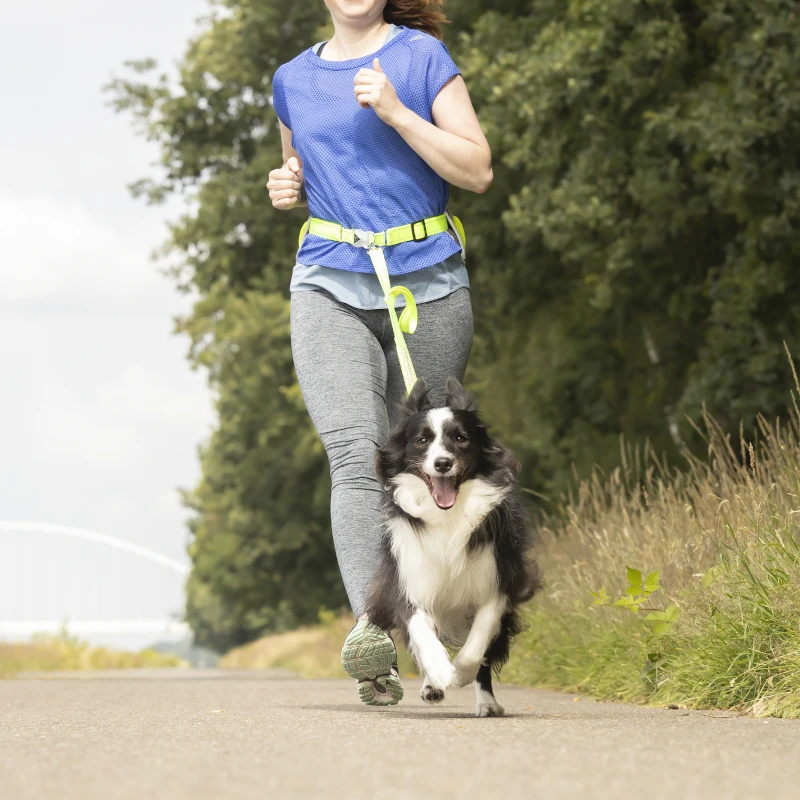 laisse jogging stoffel situation