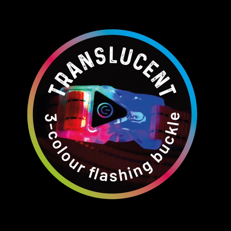 laisse jogging stoffel attache translucide