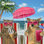 préparer les vacances