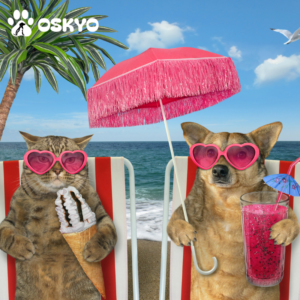 préparer les vacances